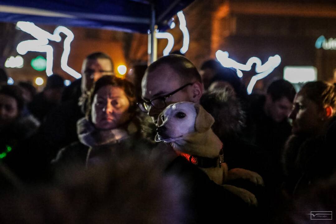 Šviesų projektas "Mama, tėtis aš ir šuo"