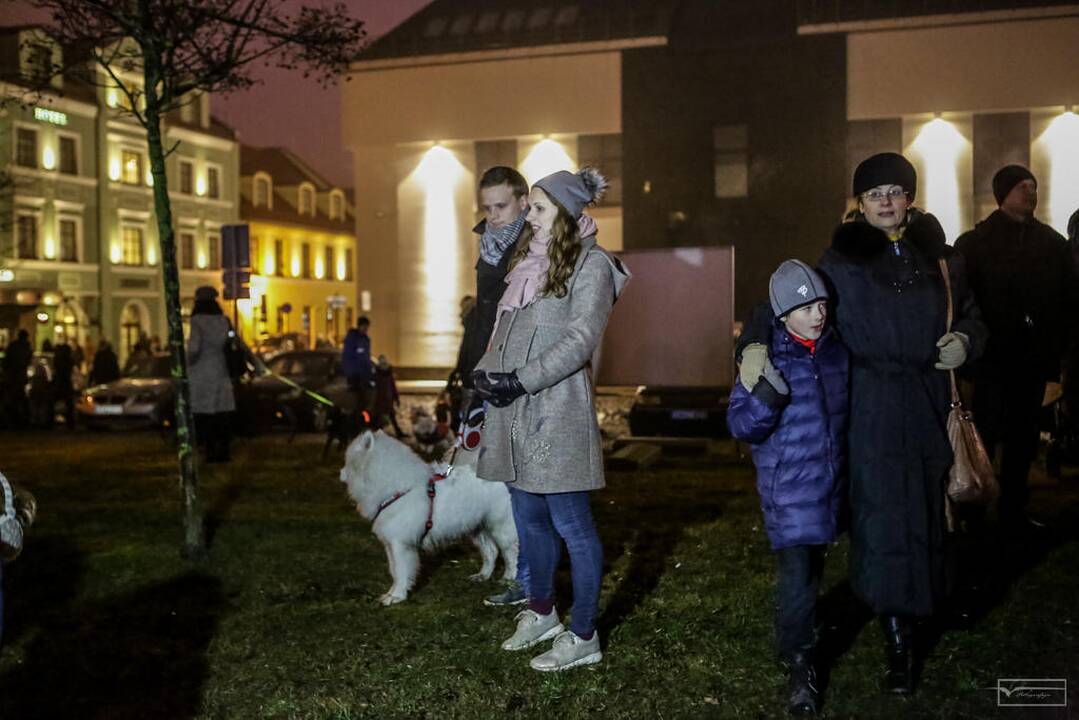 Šviesų projektas "Mama, tėtis aš ir šuo"