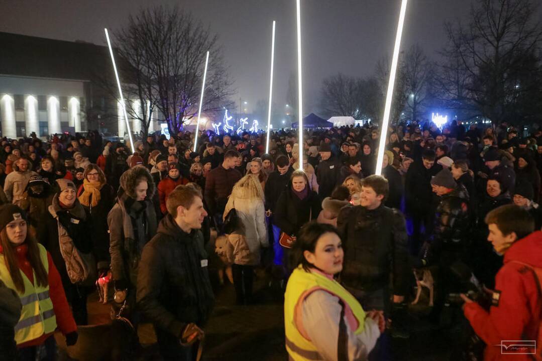 Šviesų projektas "Mama, tėtis aš ir šuo"