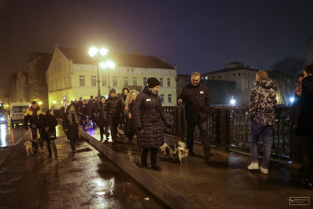 Šviesų projektas "Mama, tėtis aš ir šuo"