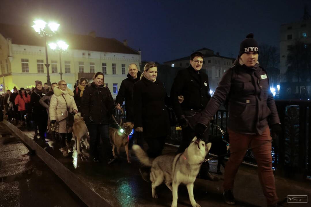 Šviesų projektas "Mama, tėtis aš ir šuo"