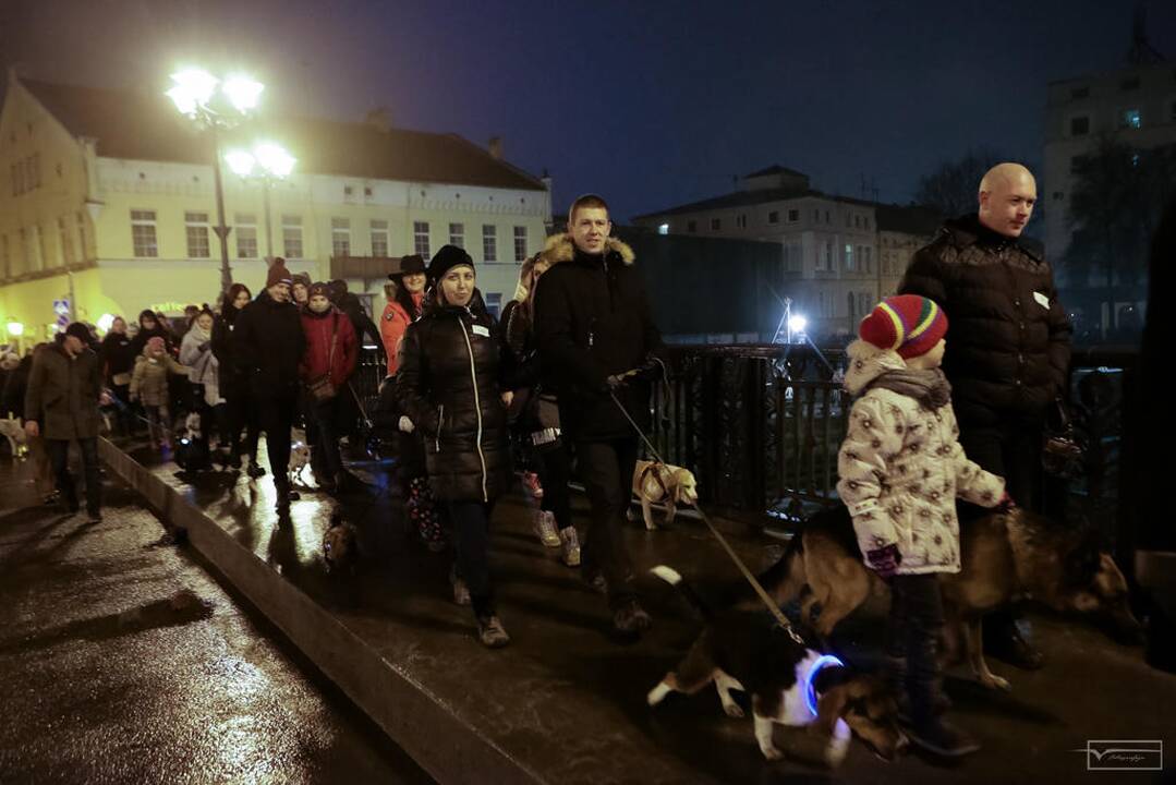 Šviesų projektas "Mama, tėtis aš ir šuo"