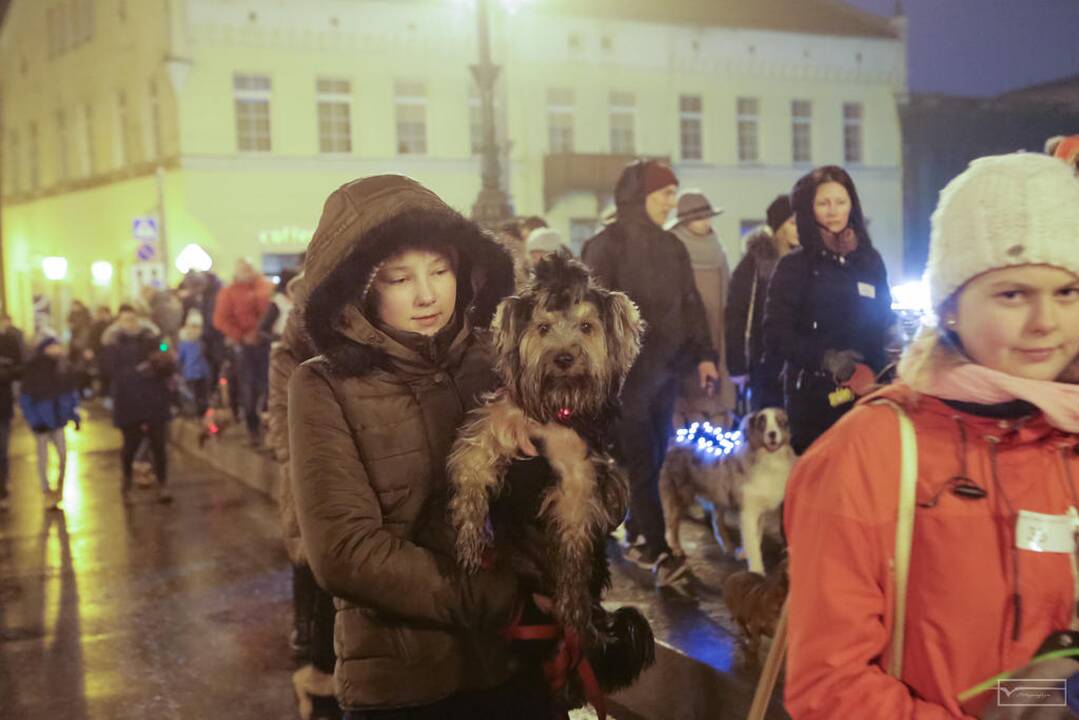 Šviesų projektas "Mama, tėtis aš ir šuo"