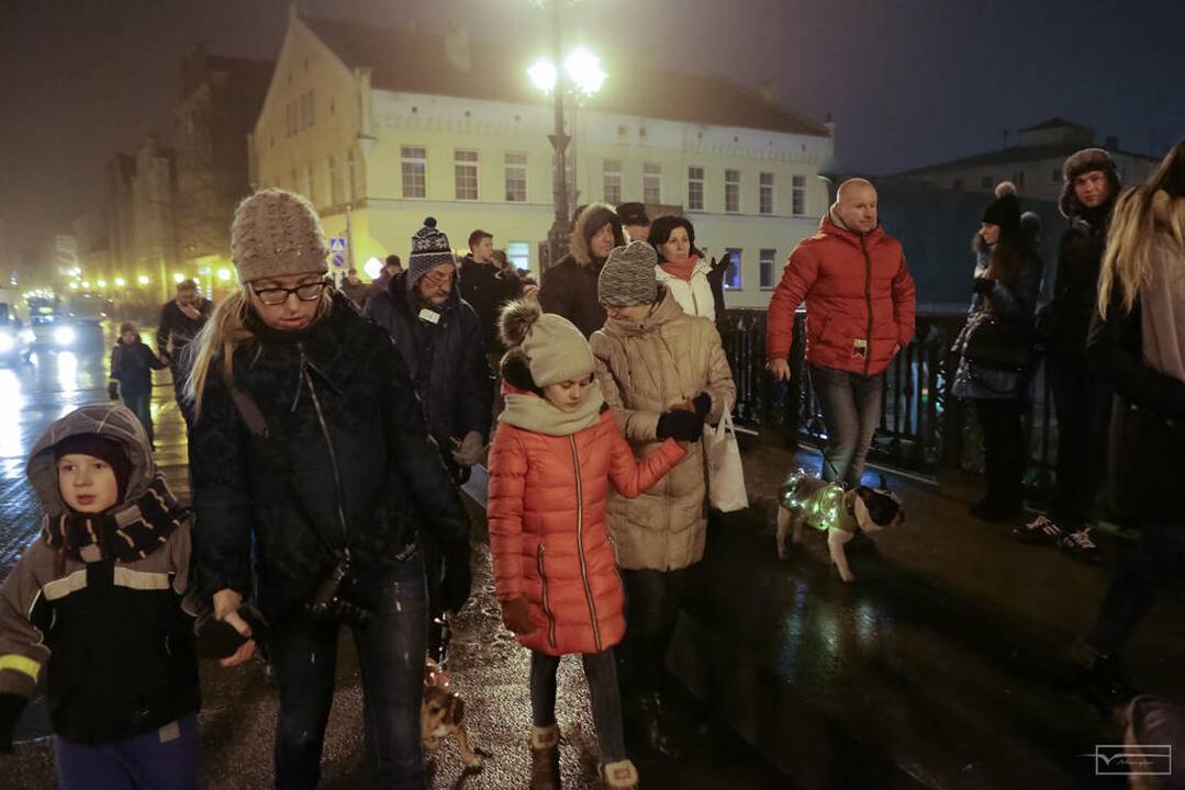 Šviesų projektas "Mama, tėtis aš ir šuo"