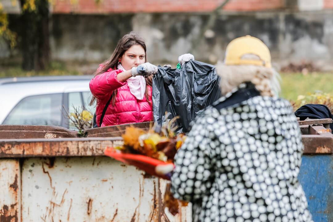 Talka Danės skvere