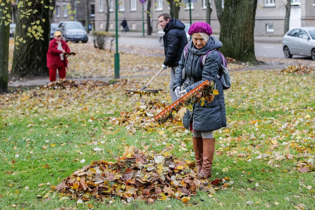 Talka Danės skvere