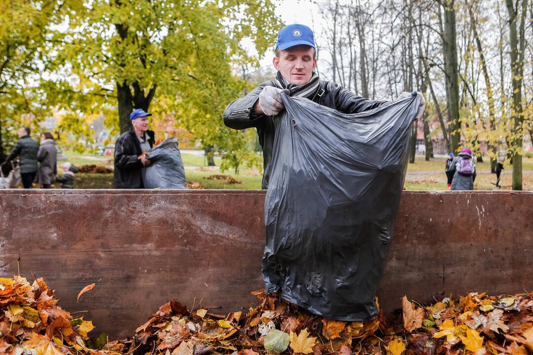 Talka Danės skvere