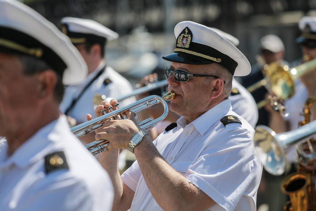 Karininkų vadų  priesaikos ceremonija
