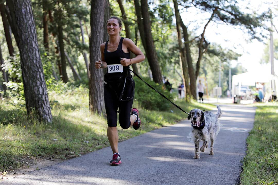 Melnragės maratonas 2013