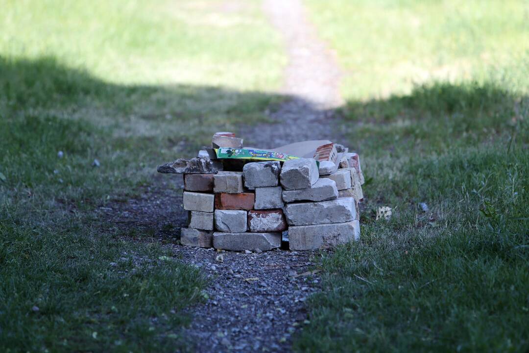Viešosios tvarkos reidas