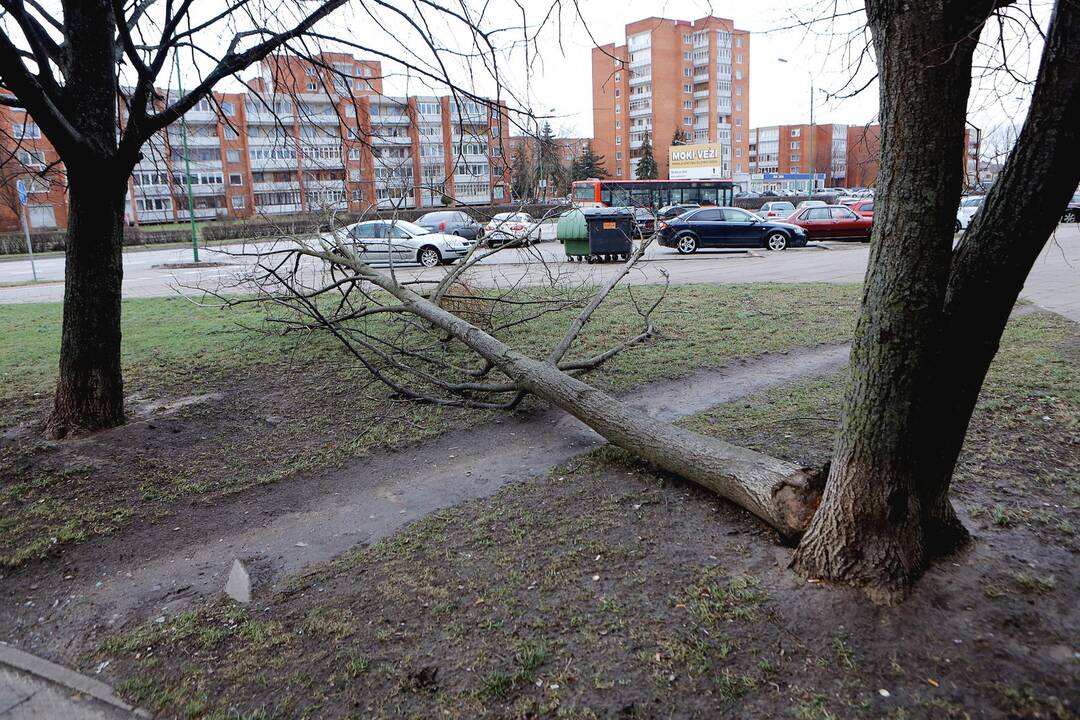 Audros padariniai