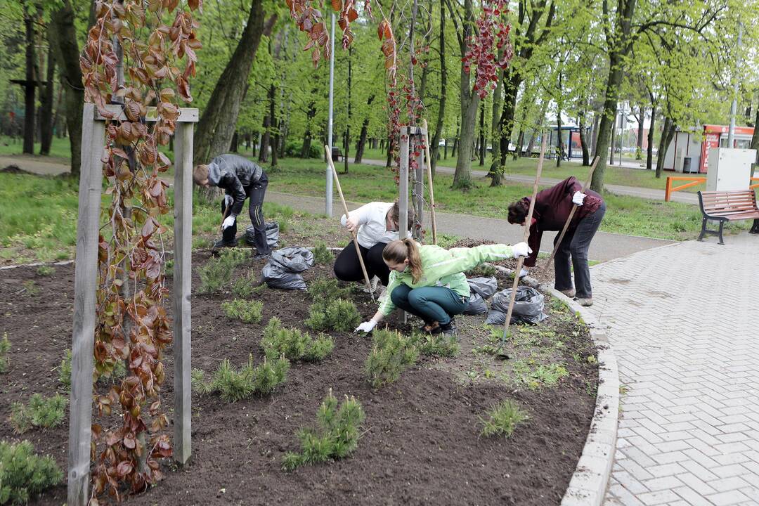 Talka Poilsio parke