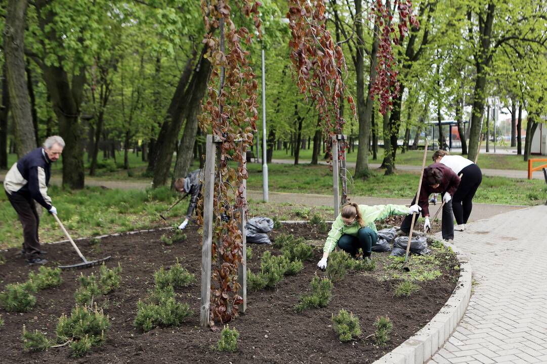 Talka Poilsio parke