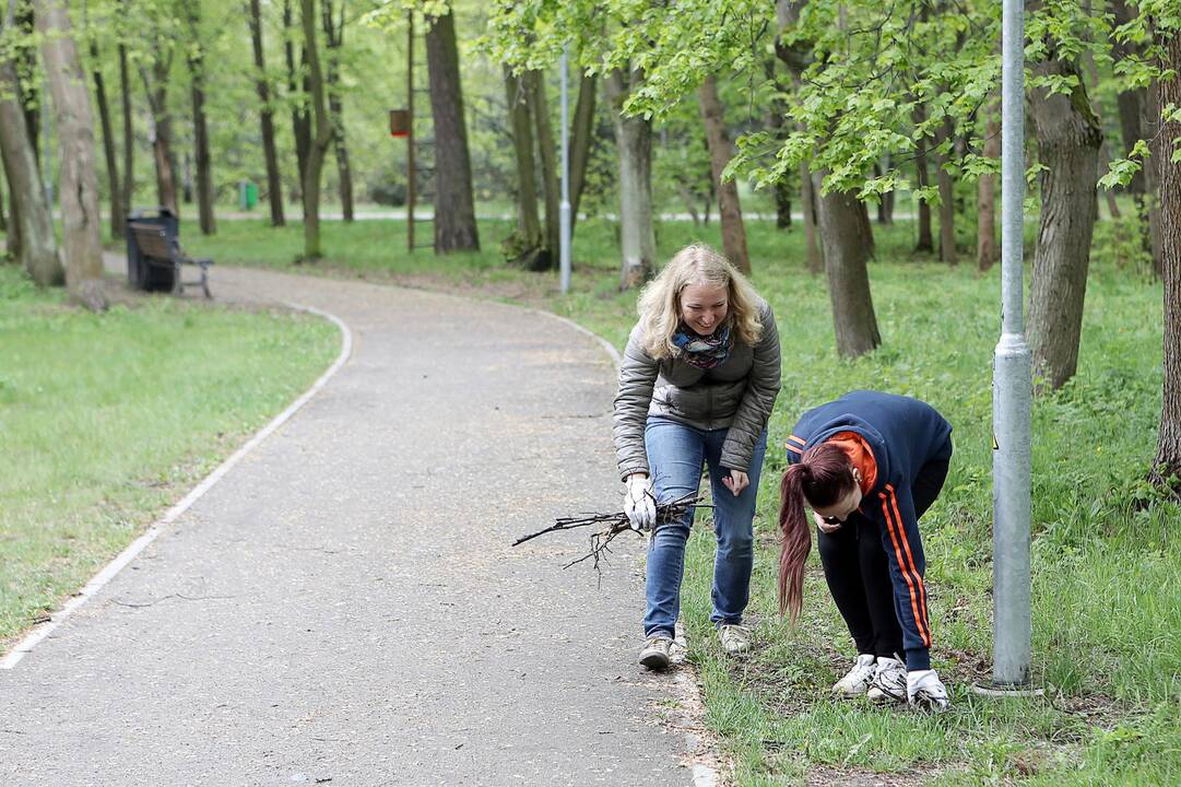 Talka Poilsio parke
