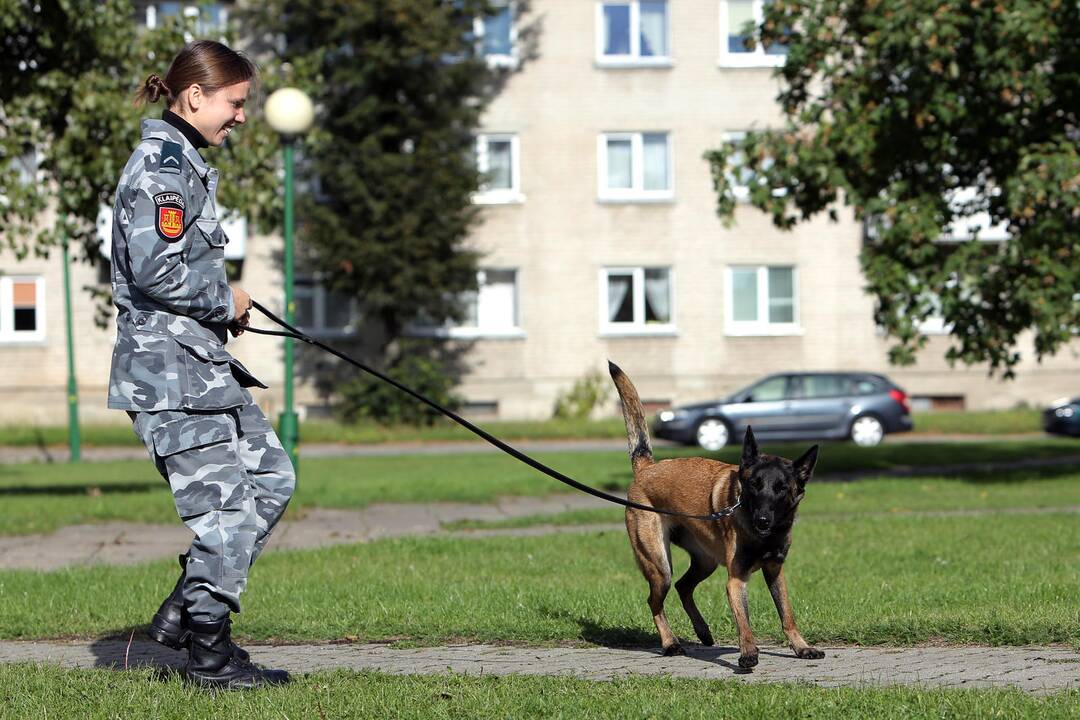 Policijos tarnybinis šuo Troja