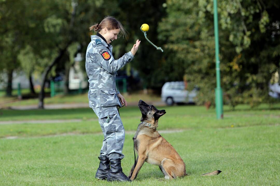 Policijos tarnybinis šuo Troja