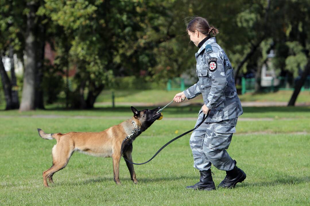 Policijos tarnybinis šuo Troja