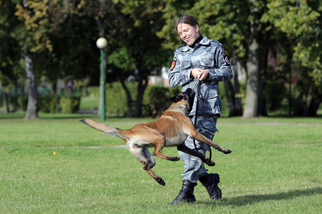 Policijos tarnybinis šuo Troja