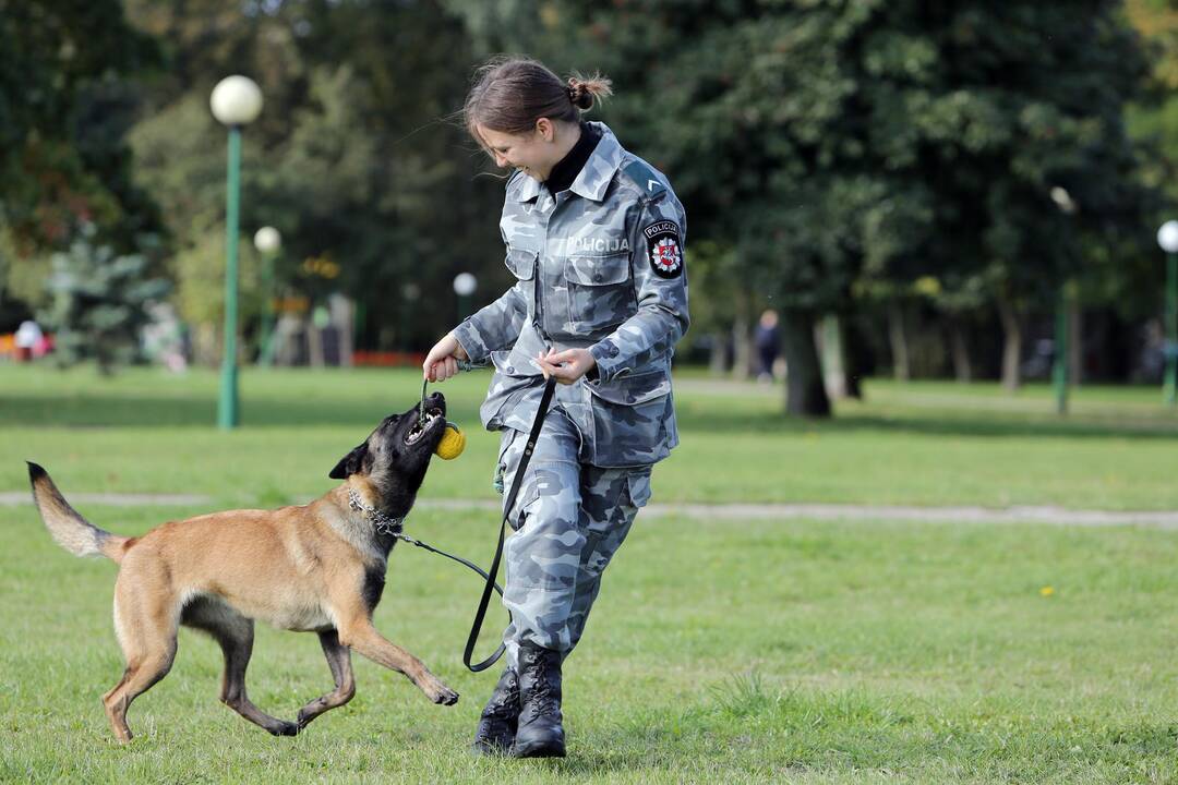 Policijos tarnybinis šuo Troja