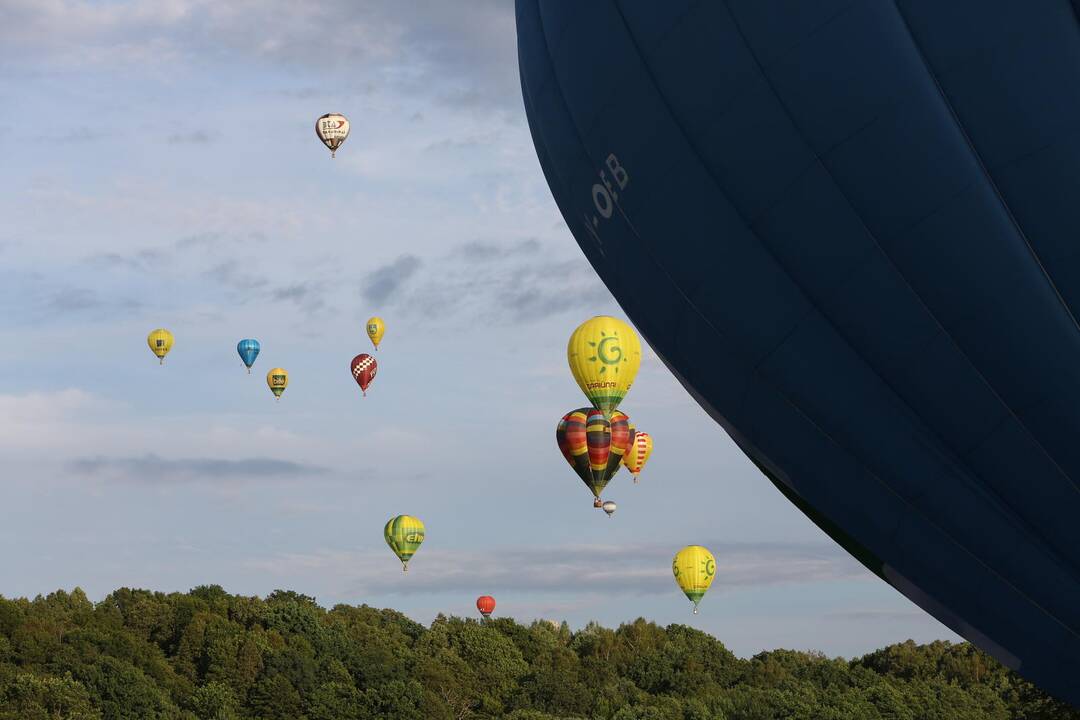 "Klaipėdos krašto taurė 2014"