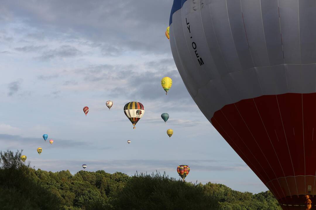 "Klaipėdos krašto taurė 2014"