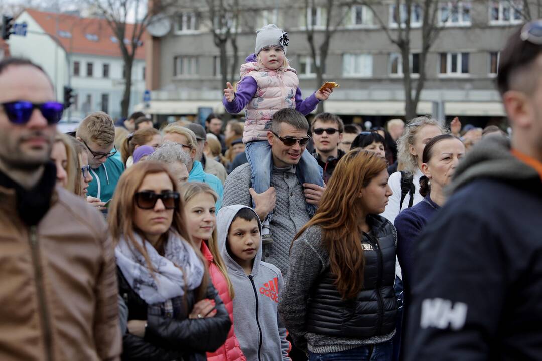 Vilties šokis 2016