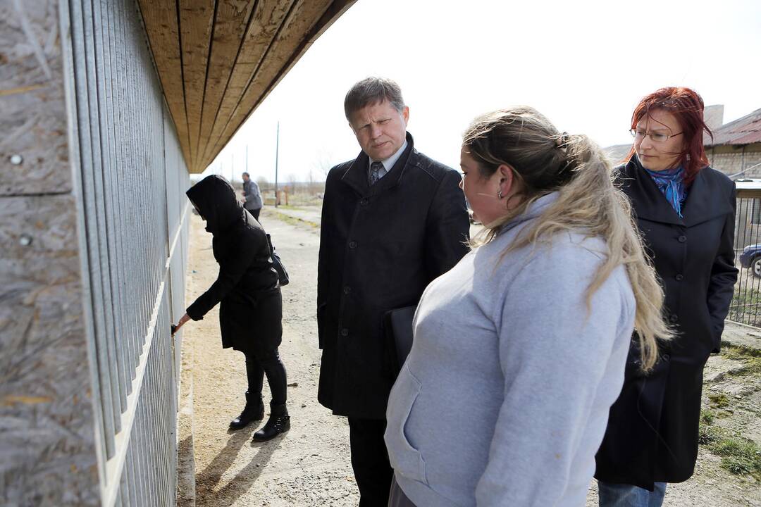 Veterinarų patikrinimas "Nuaras" gyvūnų prieglaudoje