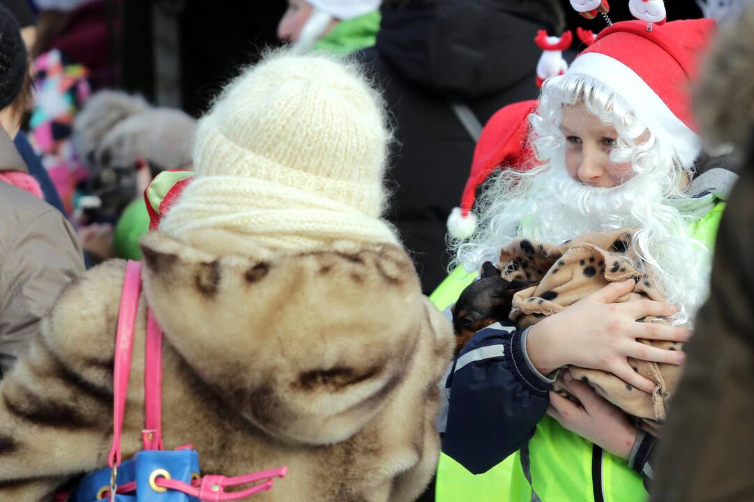 Keturkojų Kalėdos 2016
