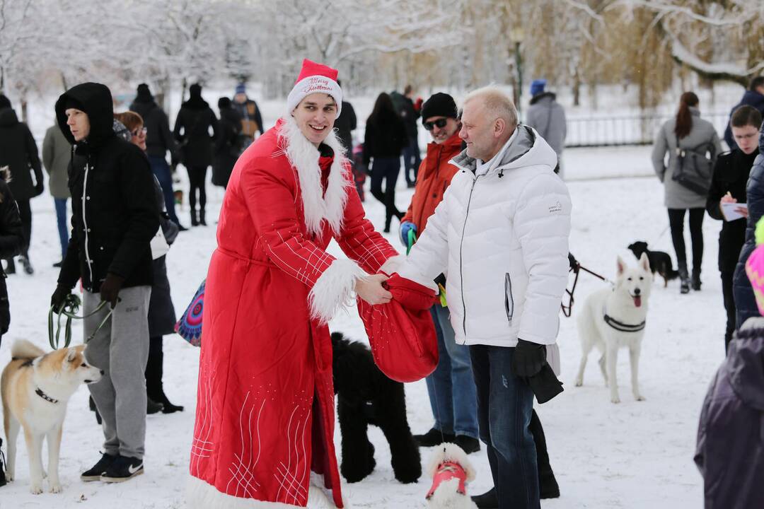 Keturkojų Kalėdos 2016