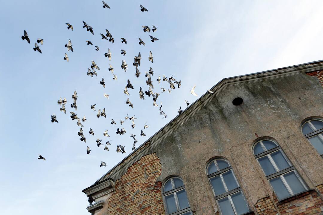 Apžiūrėjo buvusią jachtų klubo "Neptūnas" bazę
