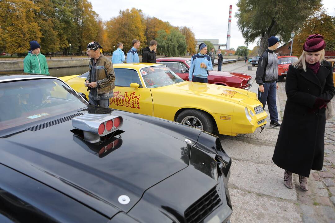 "Auto regata 2013" Klaipėdoje