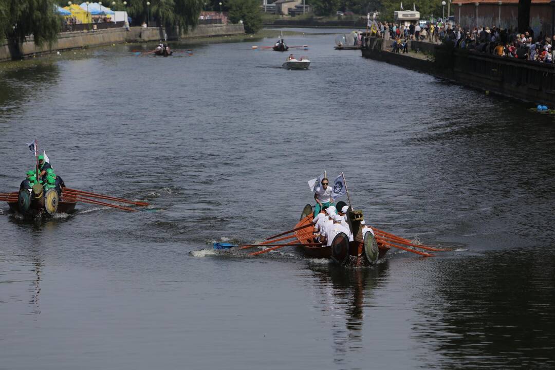 Drakonų valčių varžybos