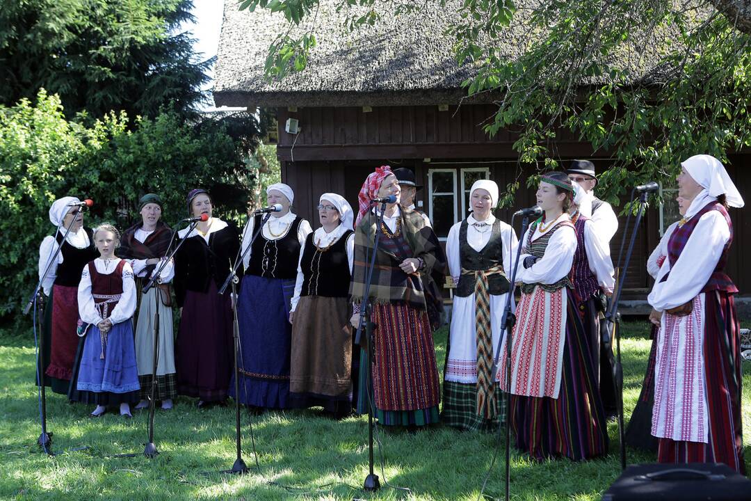 Folkloro festivalis