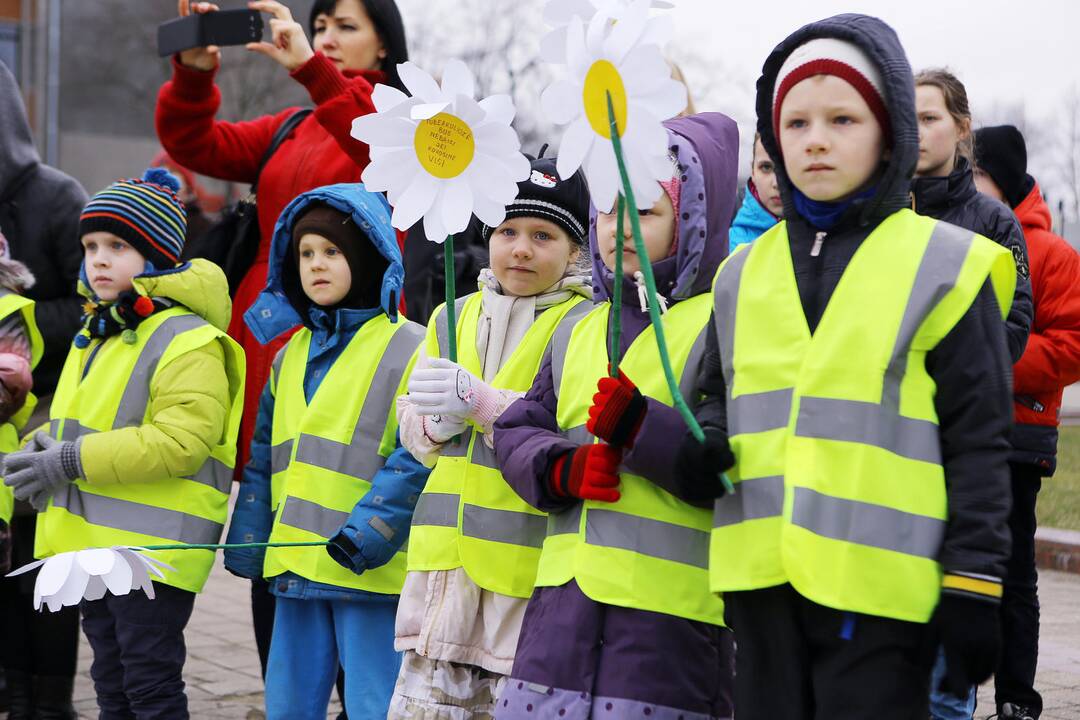 Koncertas – akcija „Padovanok ramunės žiedą!“