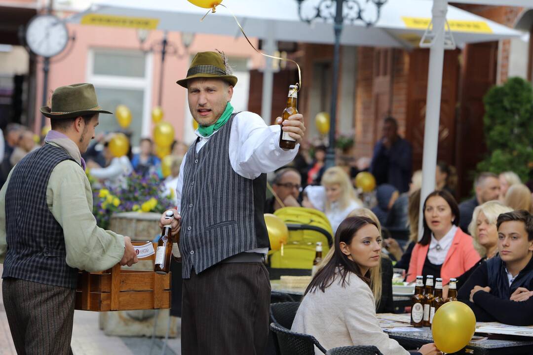 "Friedricho" alaus degustacija