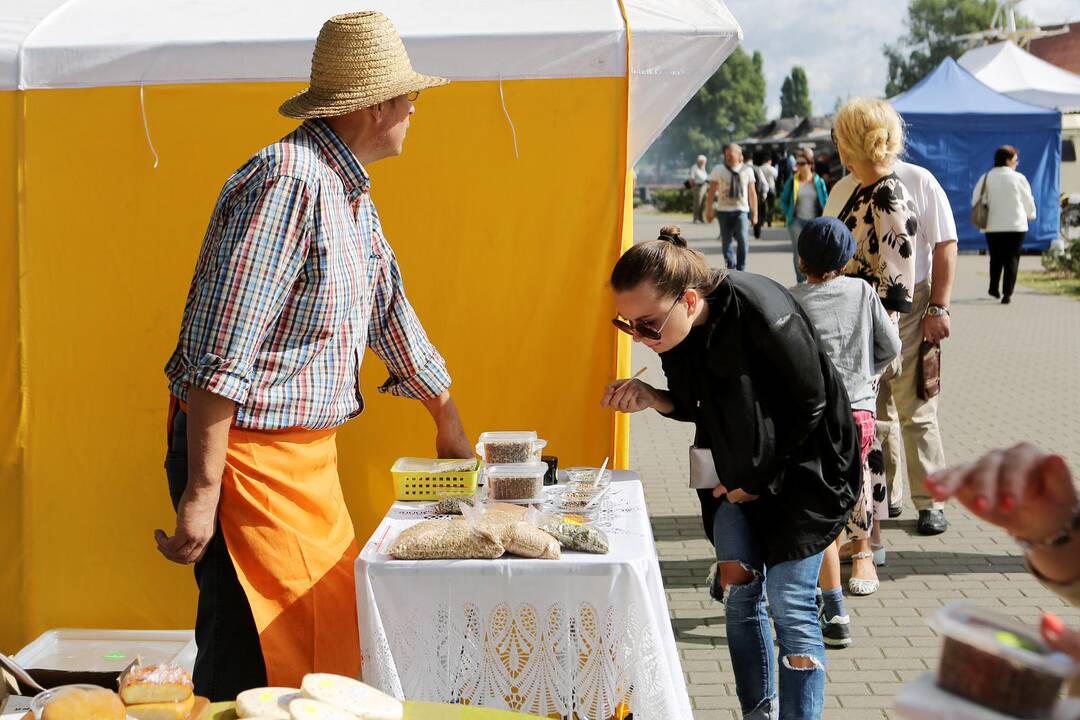 Pramoninės žvejybos jūroje pradžios šventė