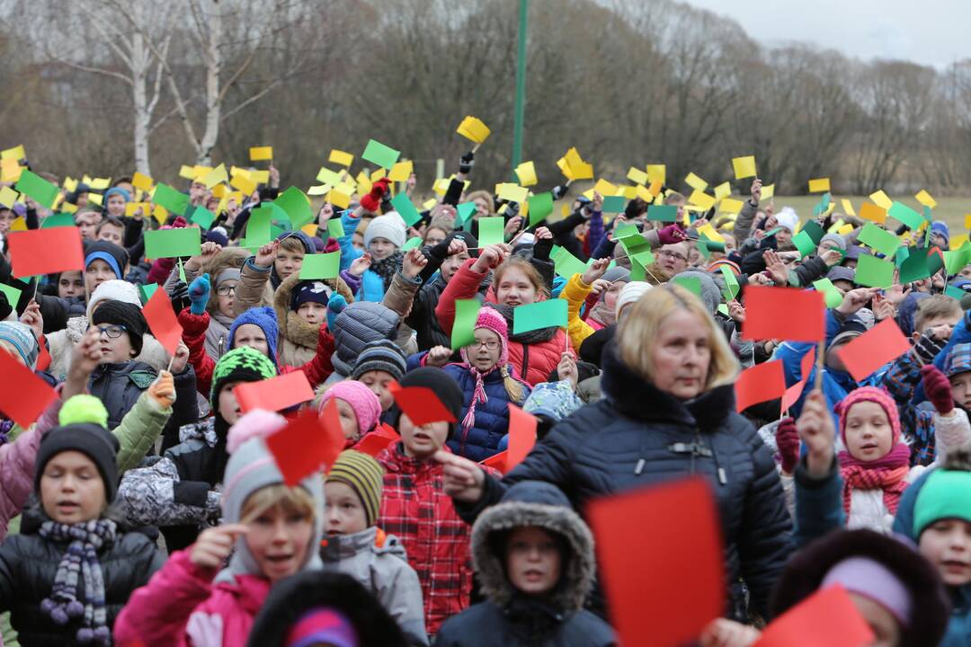 "Verdenės" mokyklos mokinių šokis