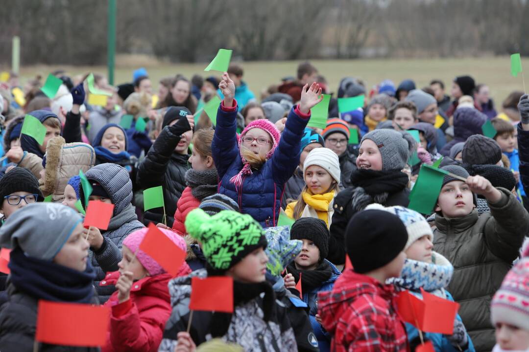 "Verdenės" mokyklos mokinių šokis