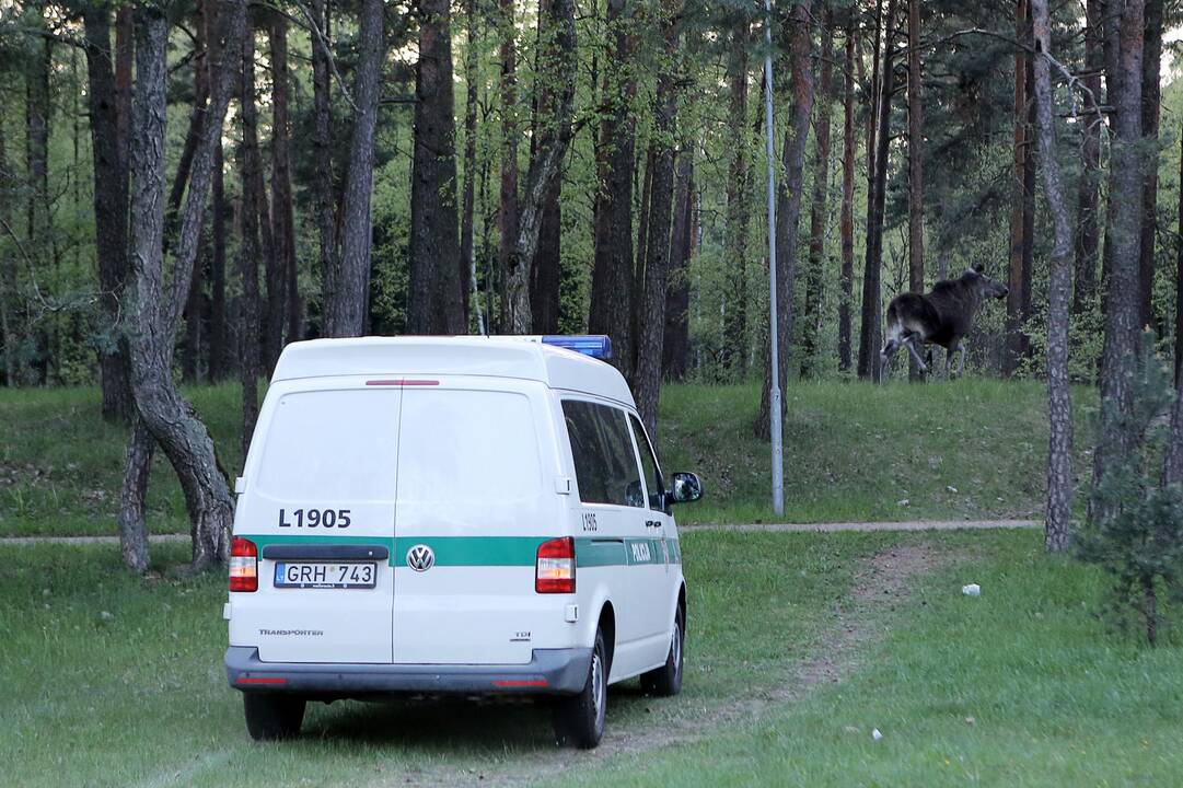 Naktinis policijos darbas