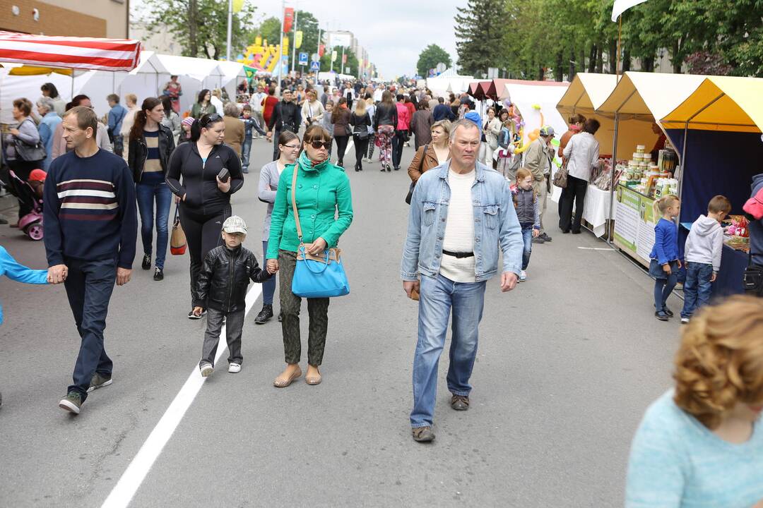 Gargždų miesto šventė