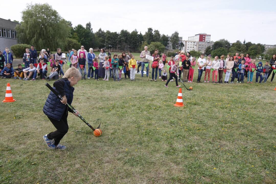 Baltijos vietos bendruomenės šventė