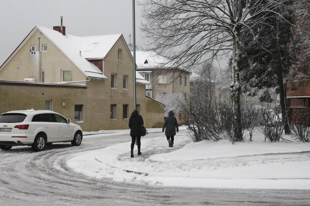 Klaipėdoje vėl prisnigo