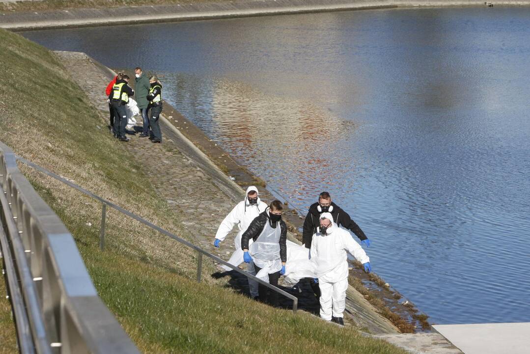 Klaipėdoje praeivis pastebėjo tvenkinyje plūduriuojantį skenduolį