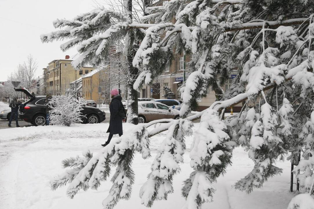Klaipėdoje vėl prisnigo