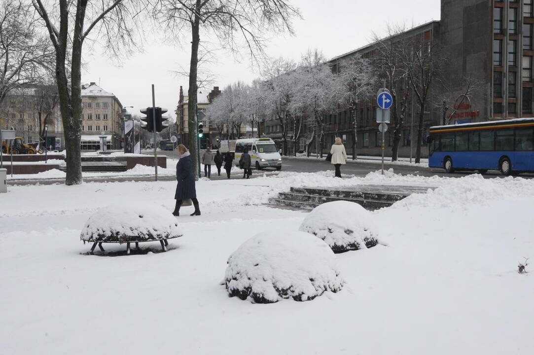 Klaipėdoje vėl prisnigo