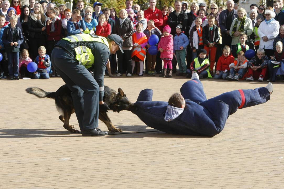 Policininkai minėjo profesinę šventę