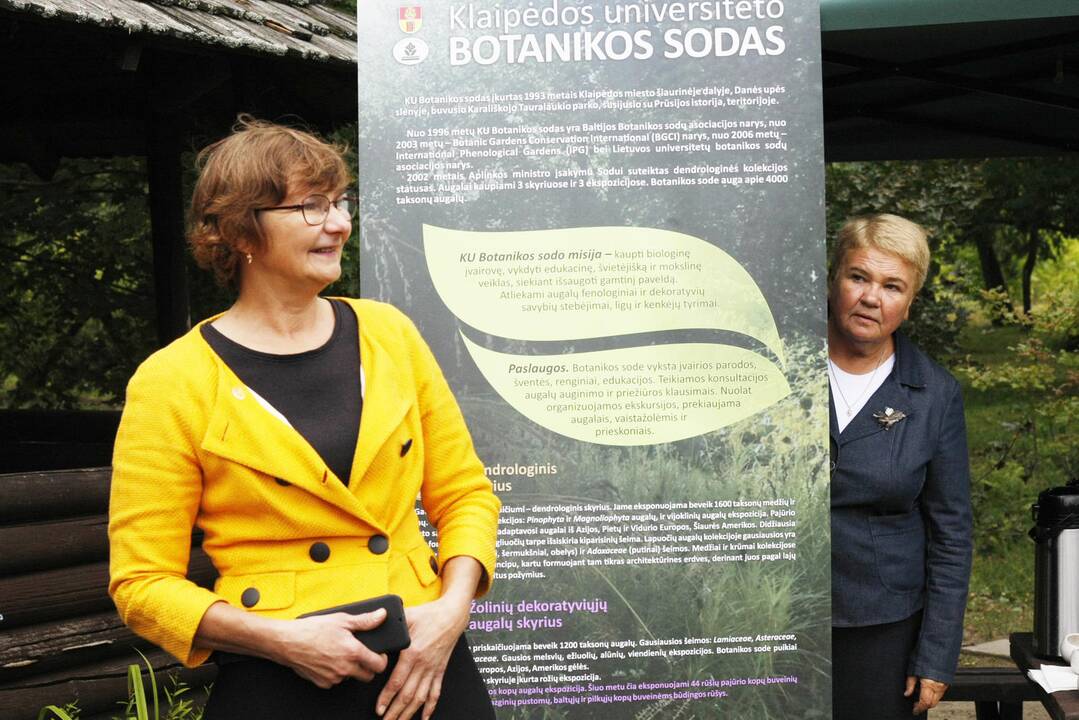 Uostamiestyje kuriami vieninteliai tokie pasaulyje gydantys sodai