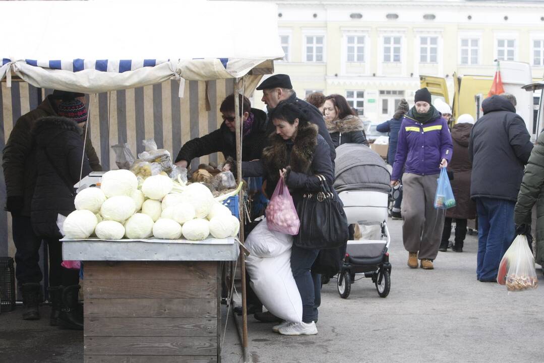 Žiemos varymo jomarkas Klaipėdos Turgaus aikštėje