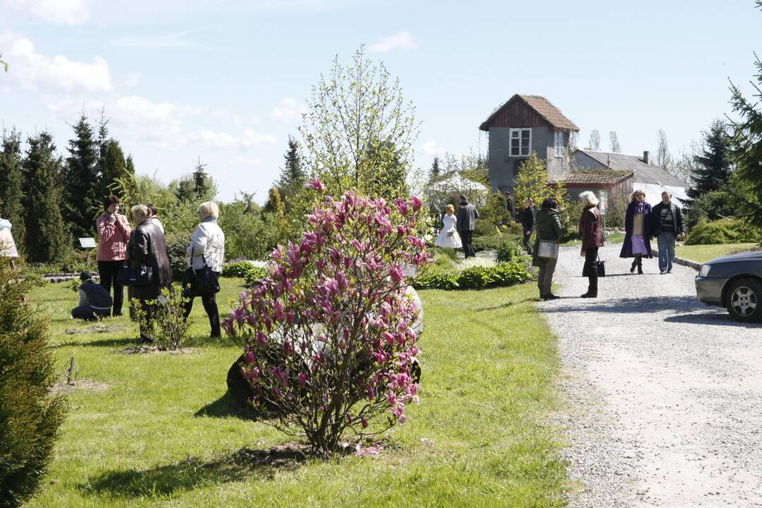 Augalų žavadienis Klaipėdos botanikos sode