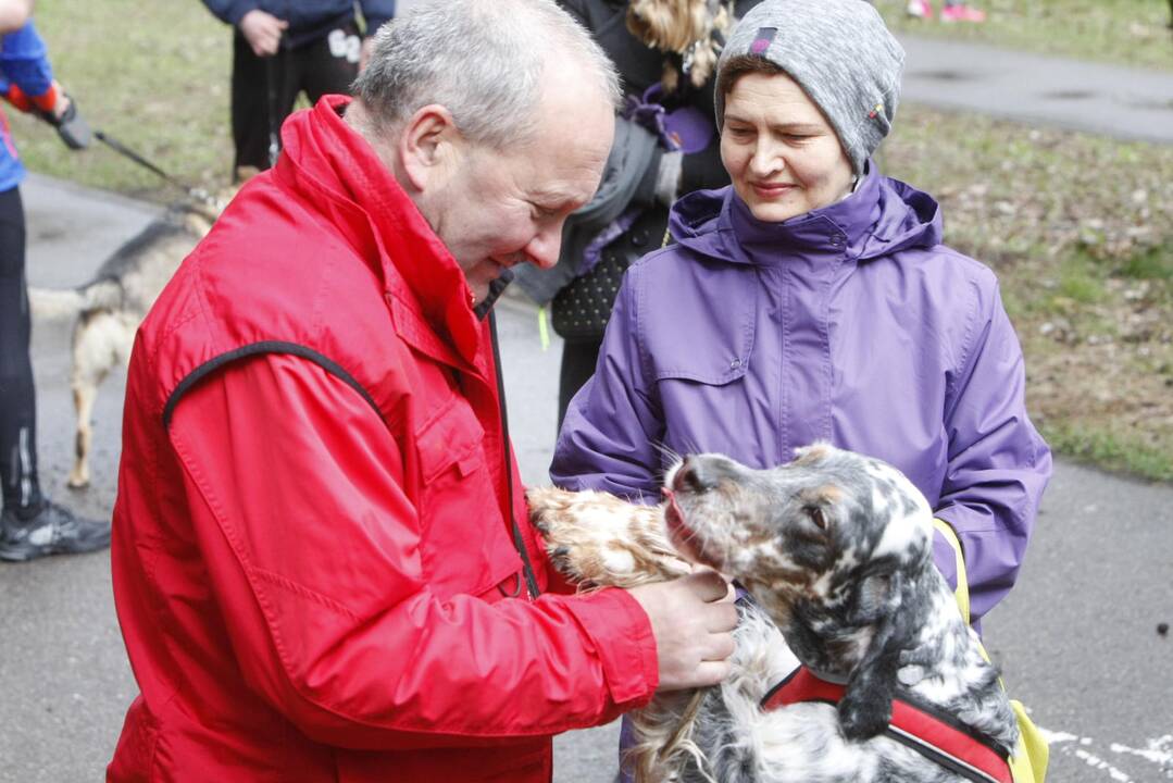 Šunų bėgimas Klaipėdoje